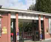 ����鿴��