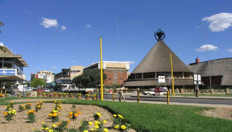 ����鿴��